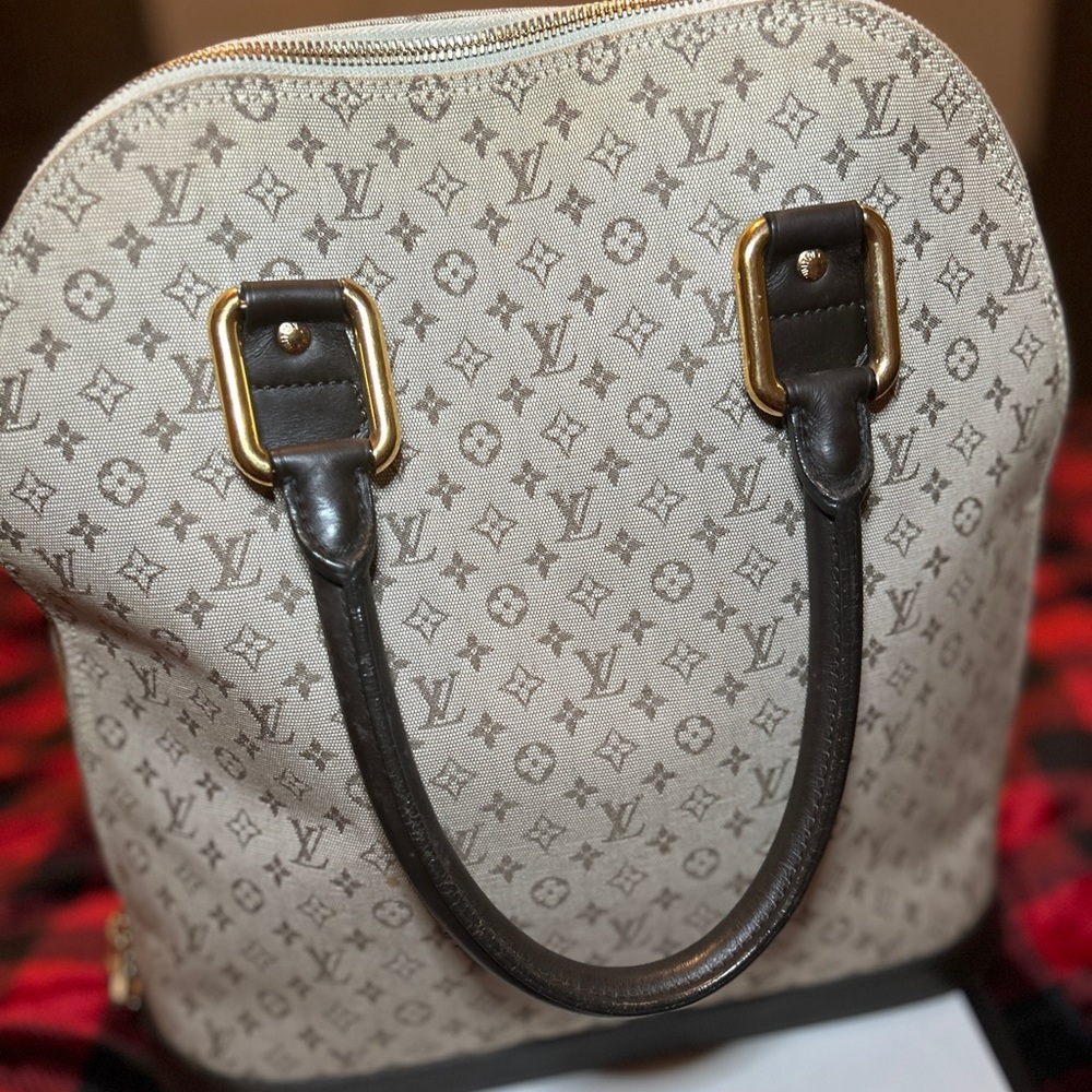 Classic Louis Vuitton Purse